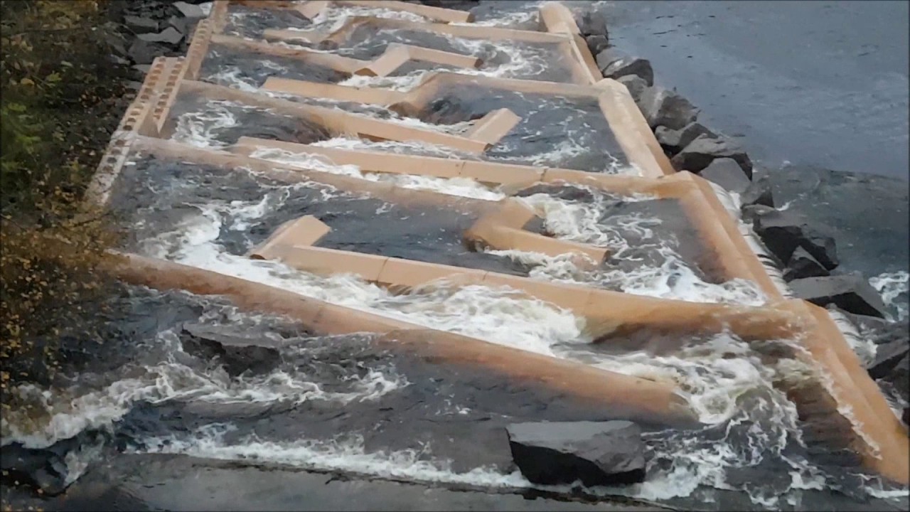 River Avon Fish Pass Millheugh - YouTube