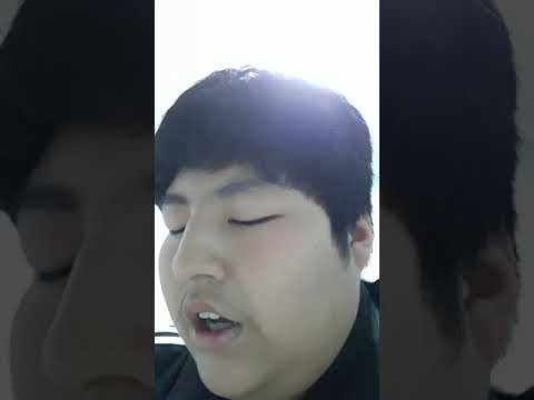 예쁜 아기 곰