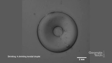 Understanding What’s Happening Inside Liquid Droplets