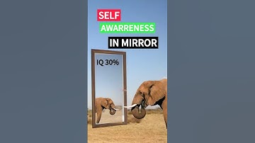 “Smart Elephant? 🤯 Recognizes Itself in a Mirror!” #ElephantFacts #AnimalShorts #wildlife