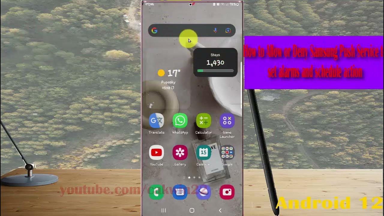 Samsung Galaxy S22 How to Allow or Deny Samsung Push Service to set