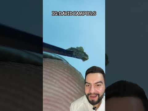 PUSO SUS UÑAS