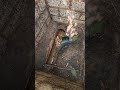 No every day you see a tortoise when you are unblocking a drain! Do you think they use wet wipes👀