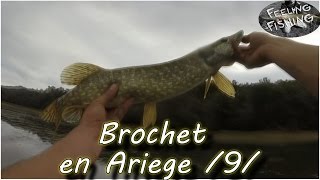 Peche du brochet aux leurres (stickbait, big bait) en Ariege partie 9