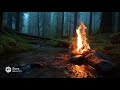 Small Stream &amp; Cozy Campfire in a Dark Forest – Night Ambience | Calm Wilderness, Still Scene: