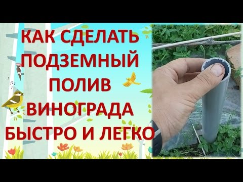 КАК СДЕЛАТЬ ПОДЗЕМНЫЙ ПОЛИВ ВИНОГРАДА