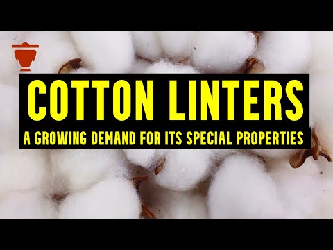 The Global Demand for Cotton Linters is growing faster than the Fiber Cotton. Know It All Here!