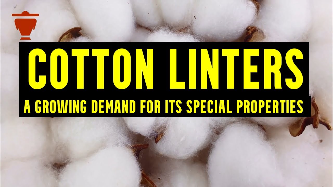 The Global Demand for Cotton Linters is growing faster than the Fiber Cotton. Know It All Here!