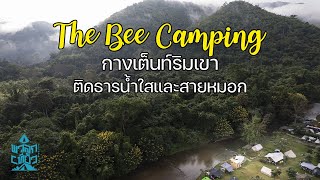 อลังการหมอก กางเต็นท์สวนผึ้งถดูนี้ ได้ทั้งธารน้ำใสได้ทั้งหมอก | The Bee Camping | พาลูกเที่ยว