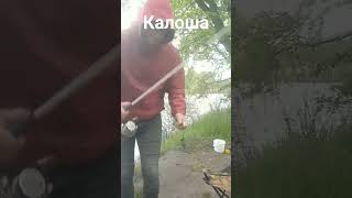 Клюнула густырка на Калоше #fishing #verguntv #рыбалка #река_днепр #карась #фидер #плотва #тарань