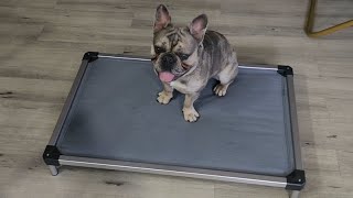 FXW Titanest Chew Proof Elevated Dog Bed - Review