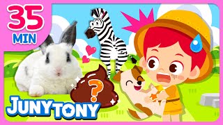 Why Do Rabbits Eat Their Own Poo? | Animal Songs Compilation | Kids Songs | JunyTony