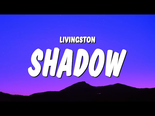 Livingston - Shadow (Lyrics) don't think twice you'll be dead in a second class=