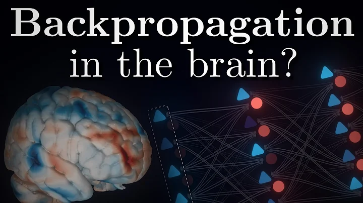 Learning Algorithm Of Biological Networks