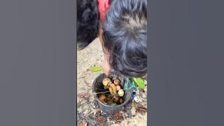 Buah Terenak di Dunia. GITAAN aka TAMPIRIK