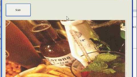 Accessing the scanner using Twain from VB.Net