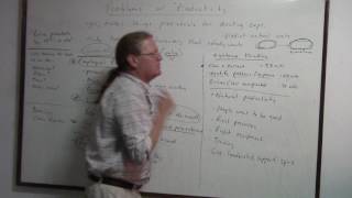 MVI 0265 Problems with Productivity