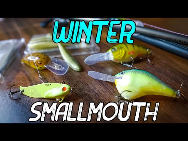 BEST Winter Smallmouth Baits (Cold Water Bass Fishing) 