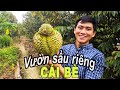 Đi thăm vườn sầu riêng và câu chuyện về nghề làm sầu riêng | Cuộc sống ở miền Tây