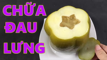 Bật mí cách chữa đau lưng, thoát vị đĩa đệm nhanh chóng và hiệu quả bằng đu đủ [cách chữa đau lưng]