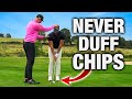 This Chipping Video Will CHANGE YOUR LIFE | ME AND MY GOLF