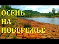 Море следов на газопроводе; МЕДВЕДЬ, ЛОСЬ, Sea of footprints on the pipeline; A BEAR, an ELK...