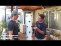 Tower Gardens - Grow a Garden with NO SOIL