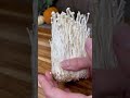 THE ENOKI MUSHROOM