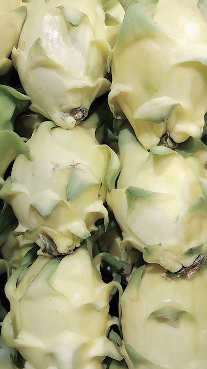 yellow dragon fruits