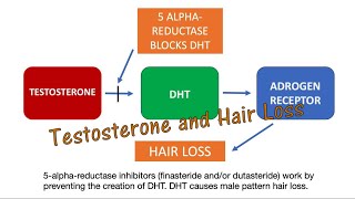 Genetic Hair Loss