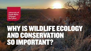 Why is Wildlife Ecology and Conservation So Important? | University of South Wales screenshot 5