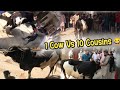 1 Cow Vs 10 Cousins 😂| Cousins Ne Mil Kar Cow Ko Zibha Kr Diya 🥵| Eid Ul Adha Mubarik ❤️ #eid #2k24