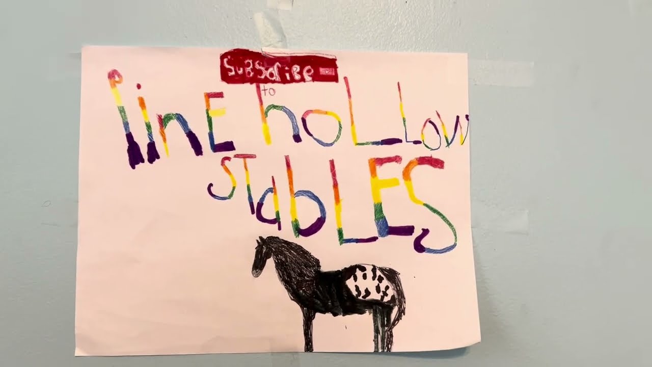 Studio tour or PHS~|:Pine hollow stables:|~