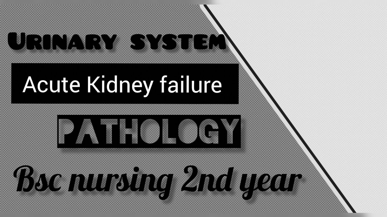 Acute Kidney failure | Pathology | BSc Nursing 4th Semester 
