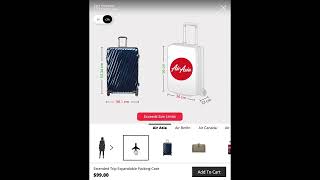 Luggage Sizing Solution With Tangiblee