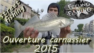 Ouverture carnassier 2015 : sandre aux leurres en street fishing - Gopro HD