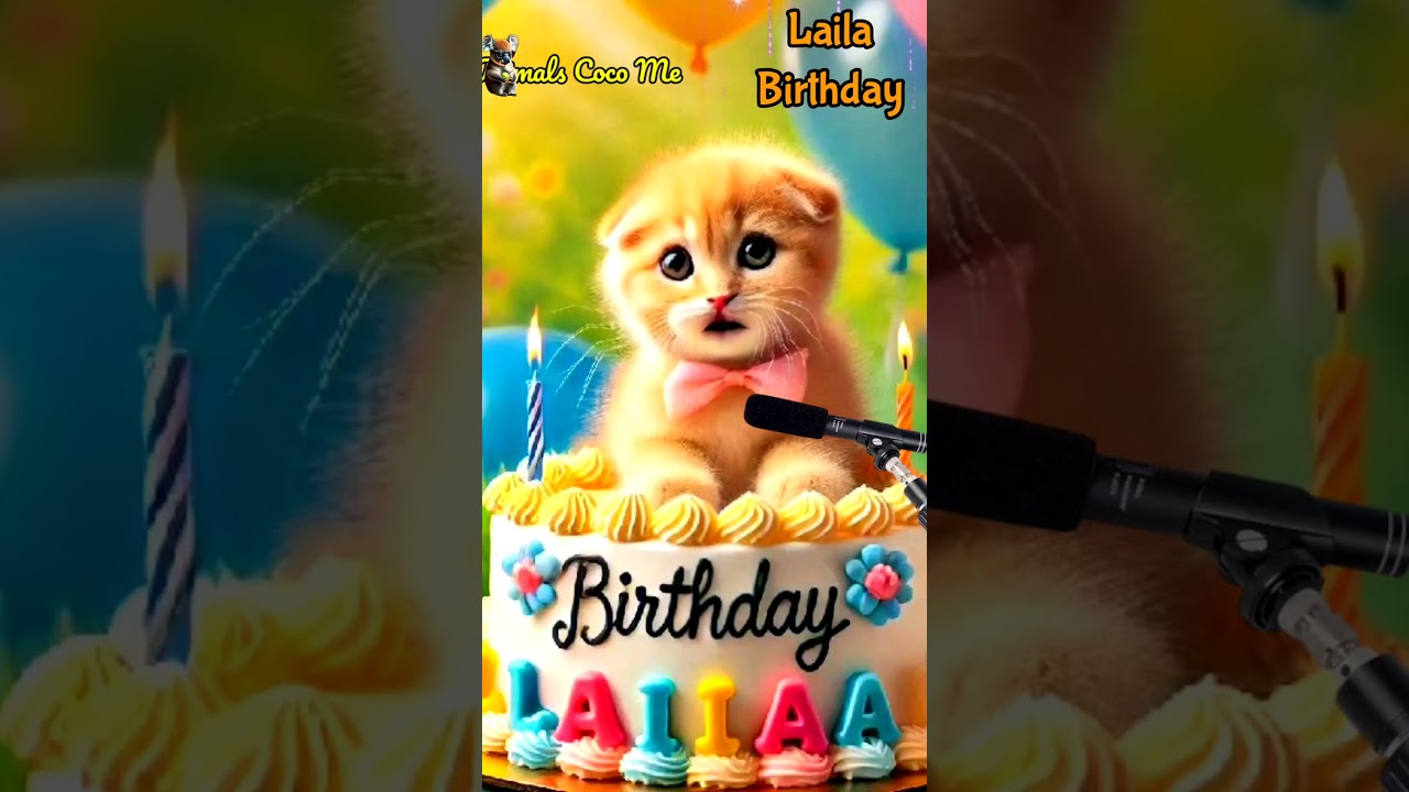 HAPPY BIRTHDAY LAILA | HAPPY BIRTHDAY SONG WITH NAMES | Adorable Cute Cat 😺 