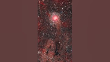 The Cocoon Nebula- and 30,000 Stars! 🔭📸