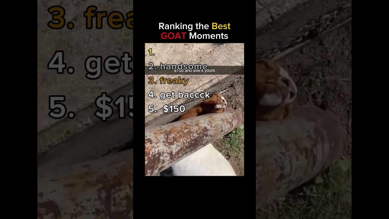 Ranking the Best GOAT in the World 