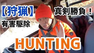 【狩猟】第二弾山に入って有害駆除 HUNTING