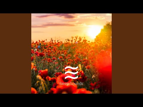 Comfy Brown Hum Noise for Sleep