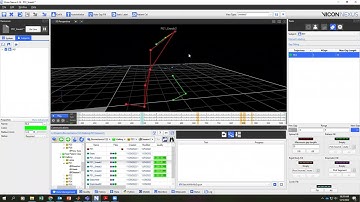 Vicon Nexus Processing & Export