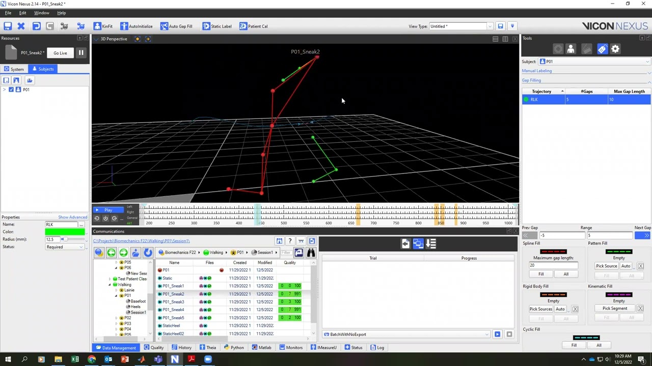 Vicon Nexus Processing & Export