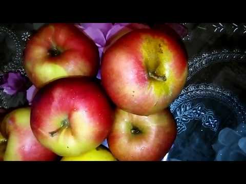 Video: Ինչու խնձորի ծառը պտուղ չի տալիս: Ի՞նչ կլինի, եթե խնձորի ծառը չծաղկի: Պատճառները, թե ինչու խնձորի ծառը պտուղ չի տալիս 5 կամ 10 տարի: Ինչպե՞ս ծառը պտուղ տալ: