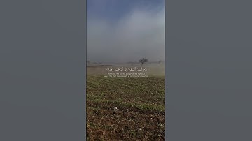 تلاوة هادئة تريح الأعصاب 😴🎧 | القارئ عبد الرحمن مسعد - سورة مريم🤍🌥."