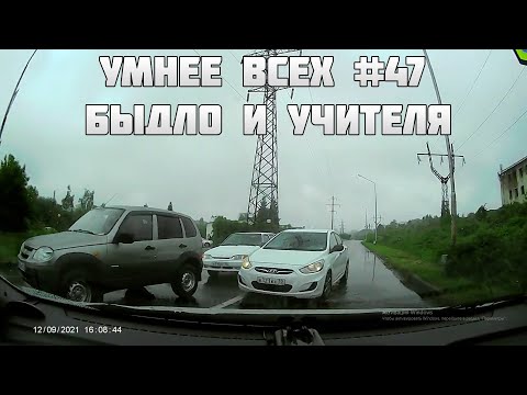 УМНЕЕ ВСЕХ #47. БЫДЛО И УЧИТЕЛЯ НА ДОРОГЕ