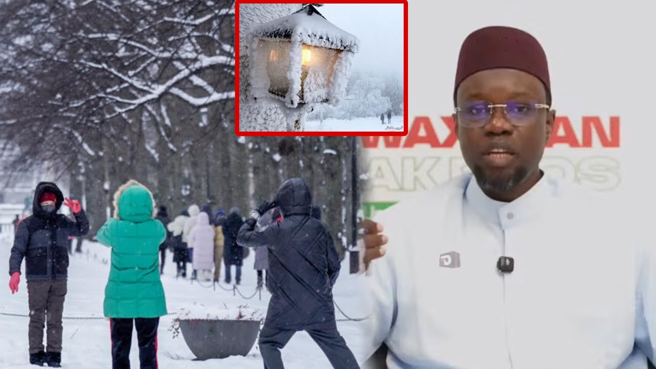 Ousmane sonko''dina nieuw europe bou seideu bi diexei ndax niewmeu seideu''