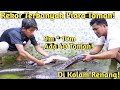 GIL4! KOLAM RENANG DIJADIKAN SARANG PULUHAN TOMAN MONSTER