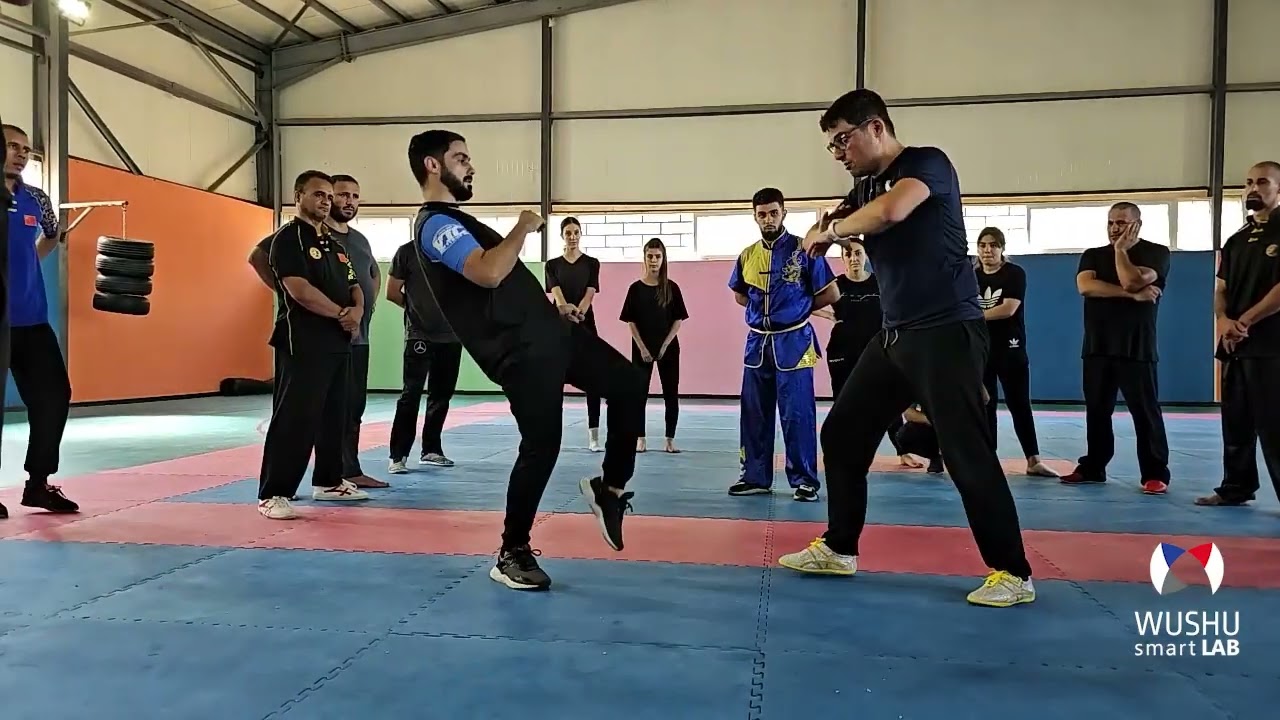 WUSHU SMART LAB SEMINAR IN ALGERIA