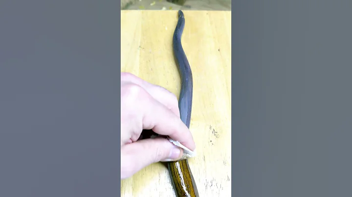 First Coat of Tru-Oil on the Snakey Osage Bow #archerybow #diy